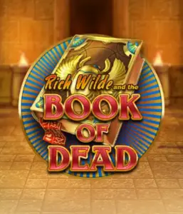 Enter the thrilling world of Book of Dead by Play'n GO, showcasing vivid graphics of Rich Wilde’s adventurous journey through ancient Egyptian tombs and artifacts. Find lost riches with exciting mechanics like free spins, expanding icons, and a gamble option. Ideal for adventure seekers with a desire for unearthing secrets.